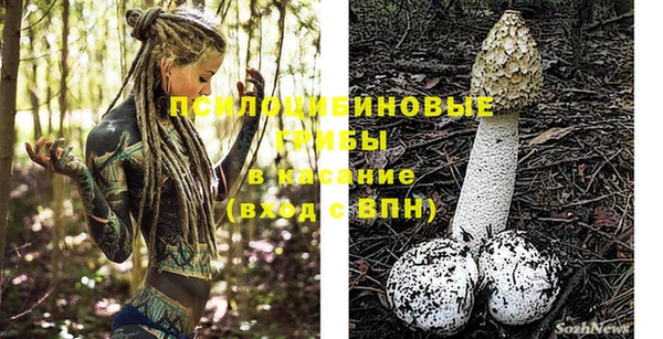 jwh Осинники