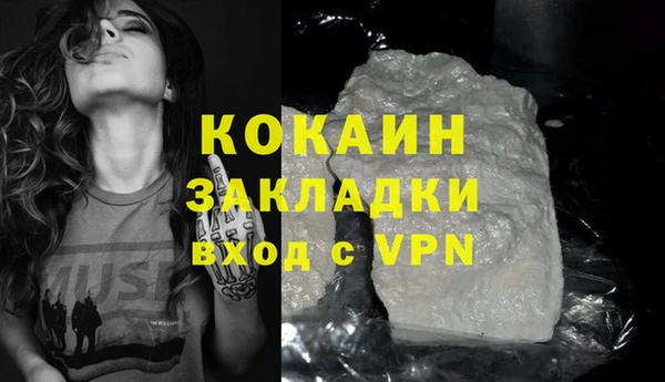 сатива Няндома
