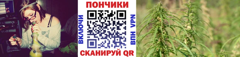 Марихуана семена  закладки  Ленинск 